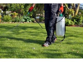 WELL-ESTABLISHED PERTH PEST CONTROL BUSINESS