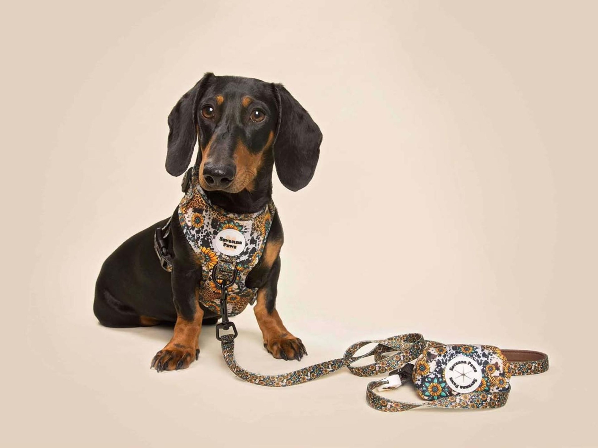 Savanna Paws Pet Store 646787 3