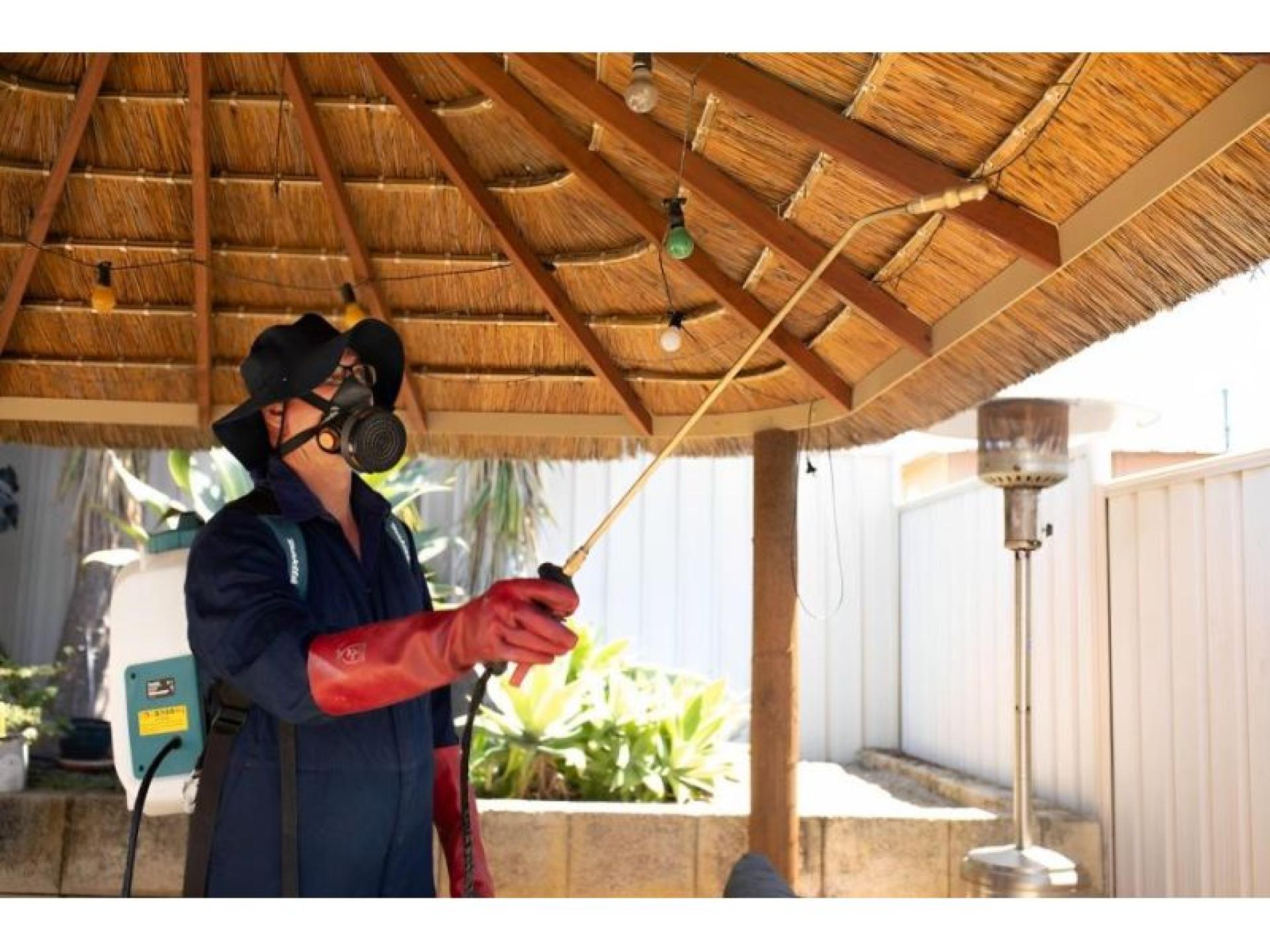 Sure Pest Control Franchises 646816 3