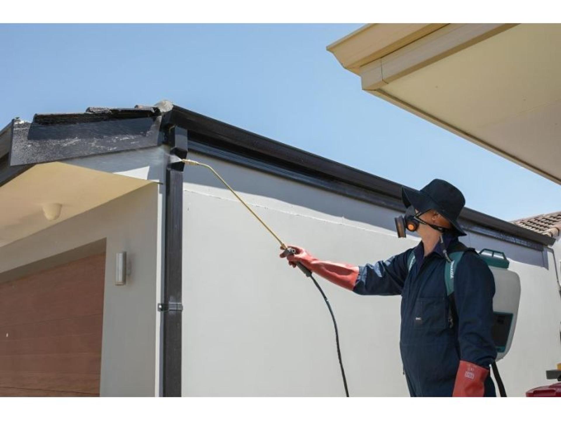 Sure Pest Control Franchises 646816 2