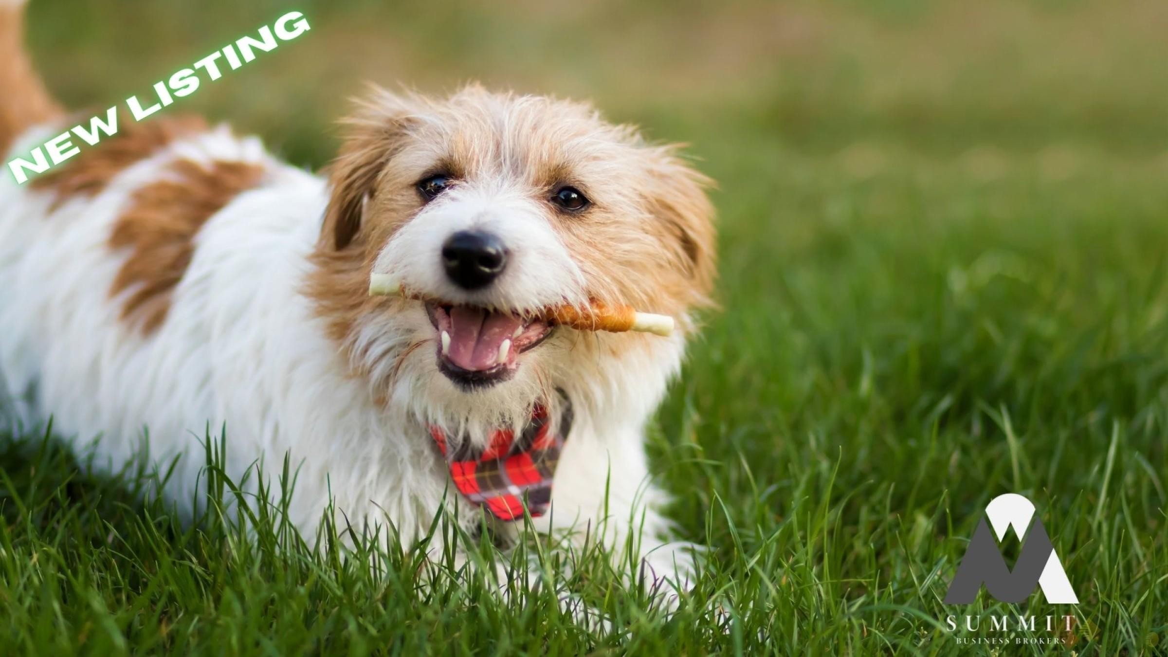 All Animal Minding Service 646853 3