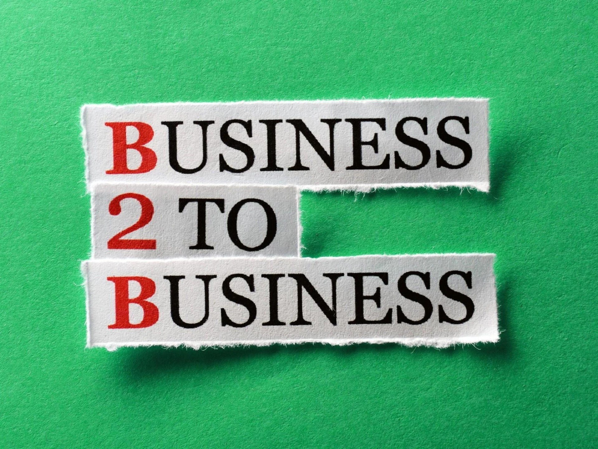 Profitable Biz -b2b Services 647052 1