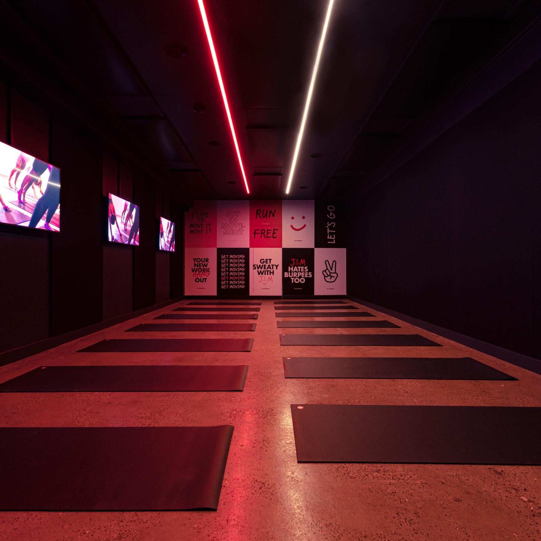 Profitable Fitness Franchise: J.i.m's 647424 3