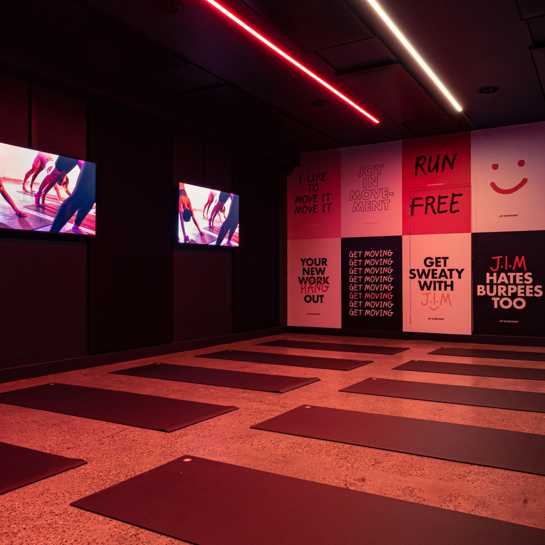 Profitable Fitness Franchise: J.i.m's 647424 2