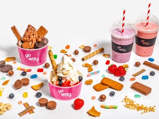 Own a Yo Way Frozen Yogurt Franchise – Join the Fro-Yo Revolution!
