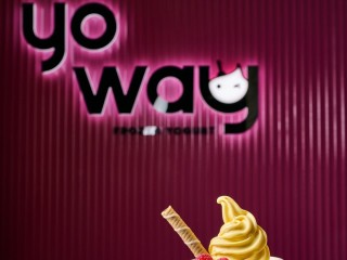 Own a Yo Way Frozen Yogurt Franchise – Join the Fro-Yo Revolution!