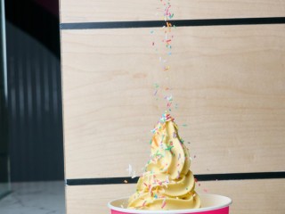 Own a Yo Way Frozen Yogurt Franchise – Join the Fro-Yo Revolution!