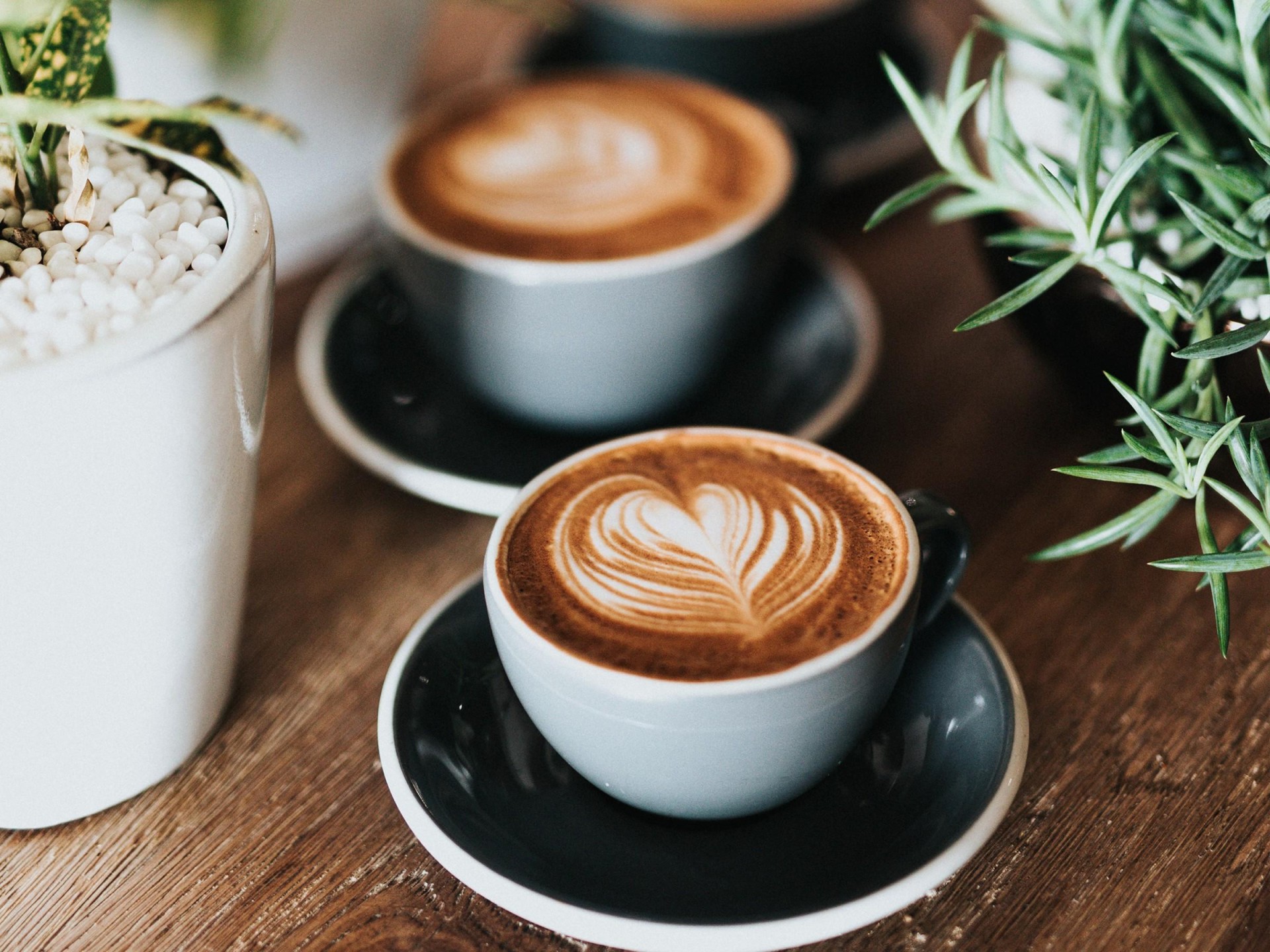 Café For Sale In 648786 1