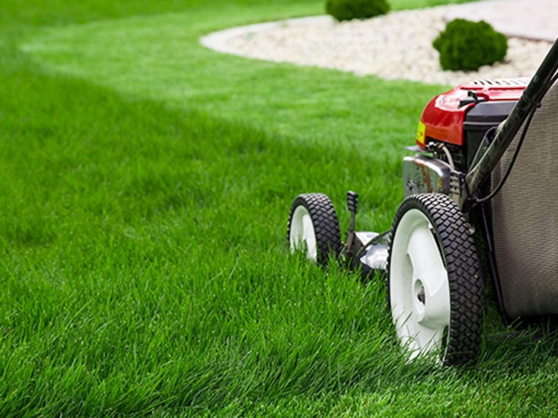 Garden Services - Booked 649214 1