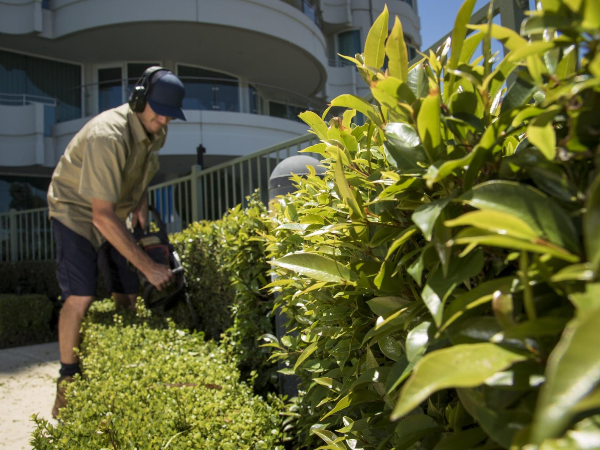 Garden Services - Booked 649214 2