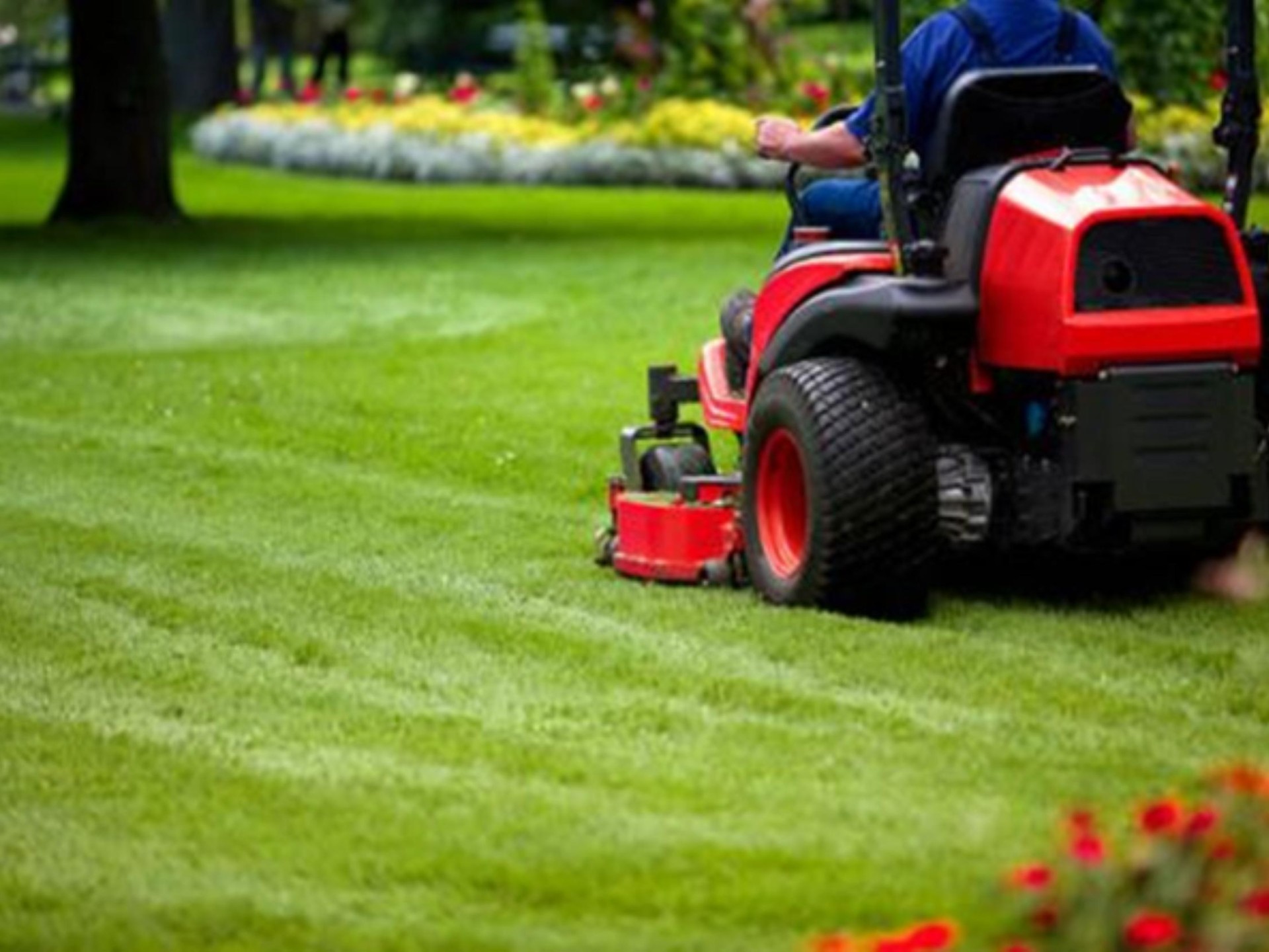Leading Mower Retail Sales/service 649394 2