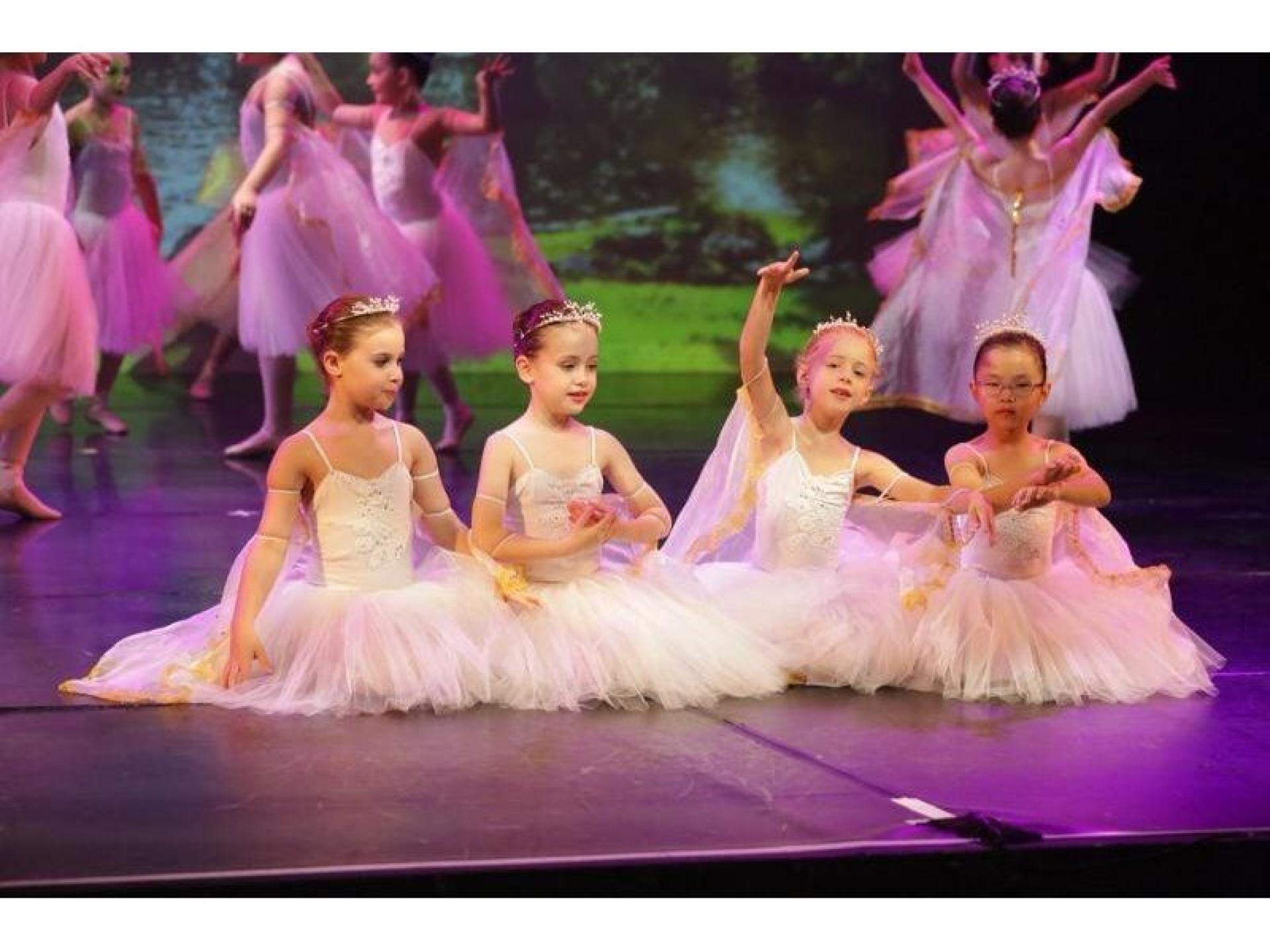 Dance Academy School North 649569 1