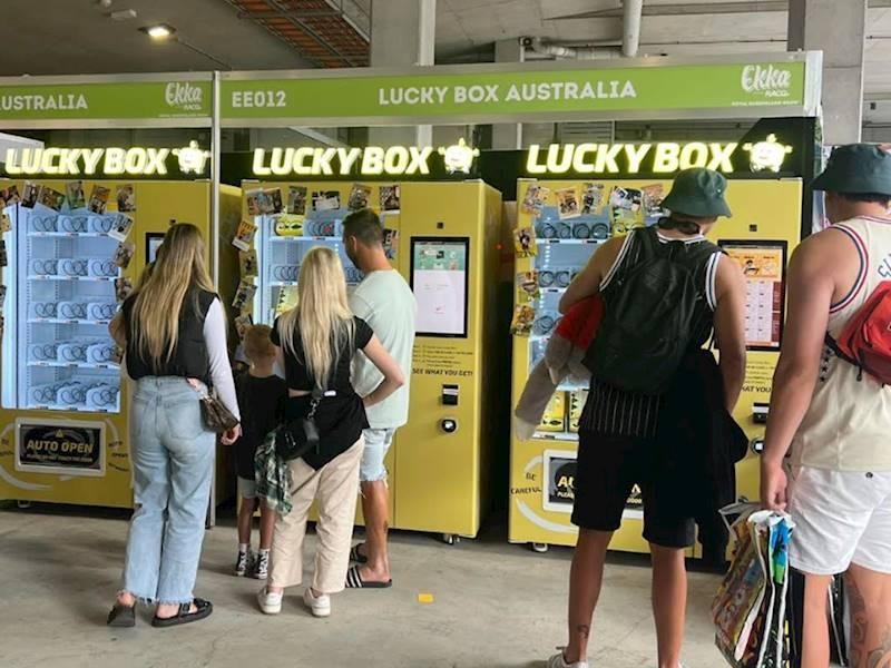 Reduced Price High Profit 650106 2