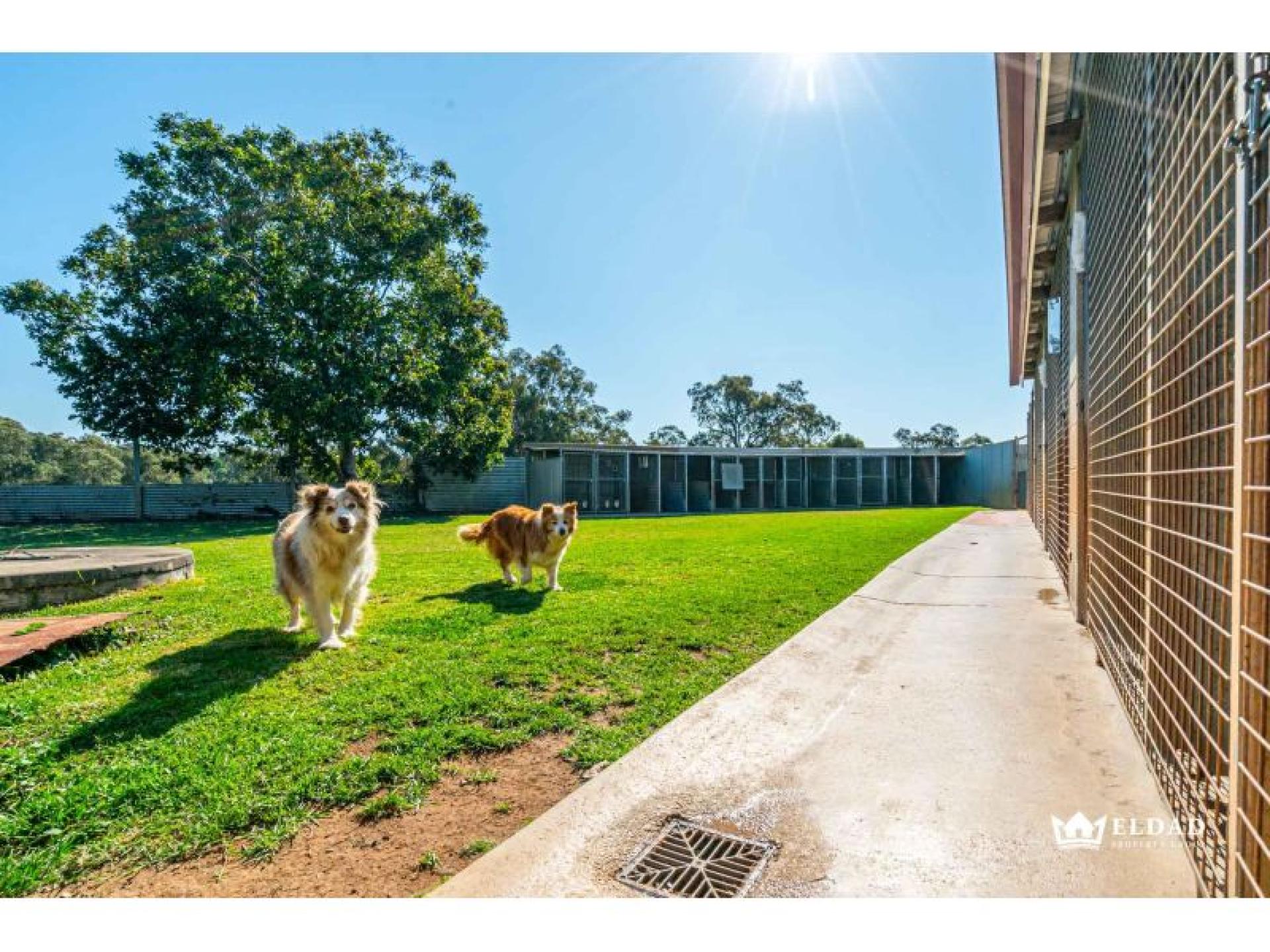 Pet Retreat Boarding Kennels 650160 1
