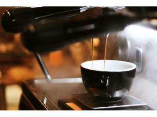 Coastal Café in Prime Location – Wollongong Business 