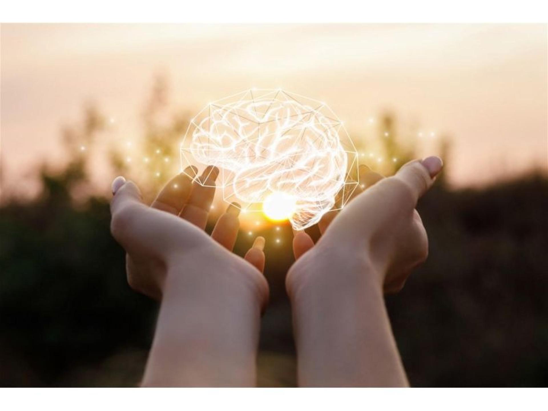 Turnkey Psychology Business Trusted 651095 2