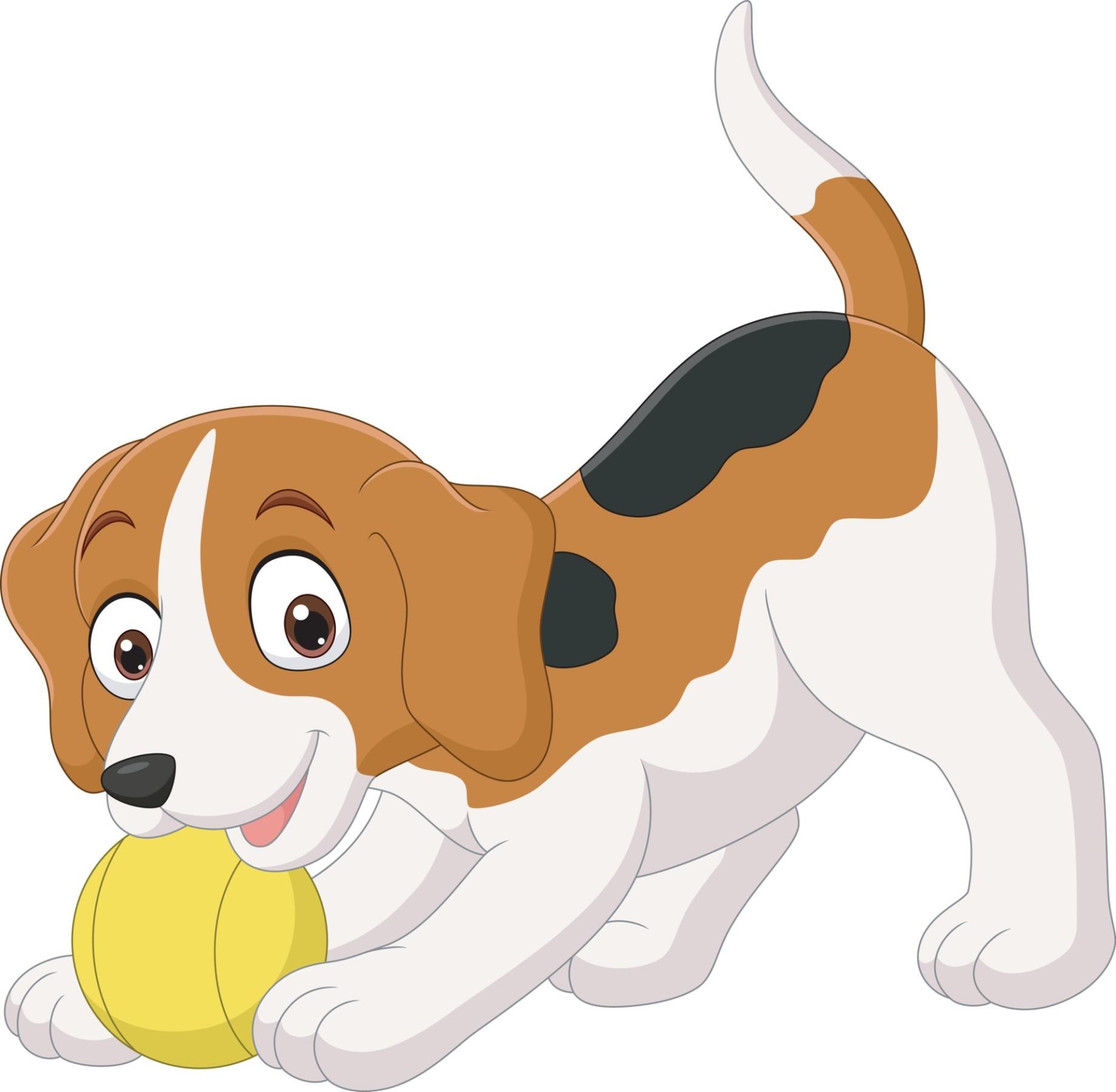 Dog Daycare North Of 651433 1