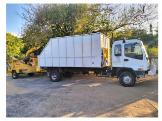 Tree Lopping & Maintenance - Townsville