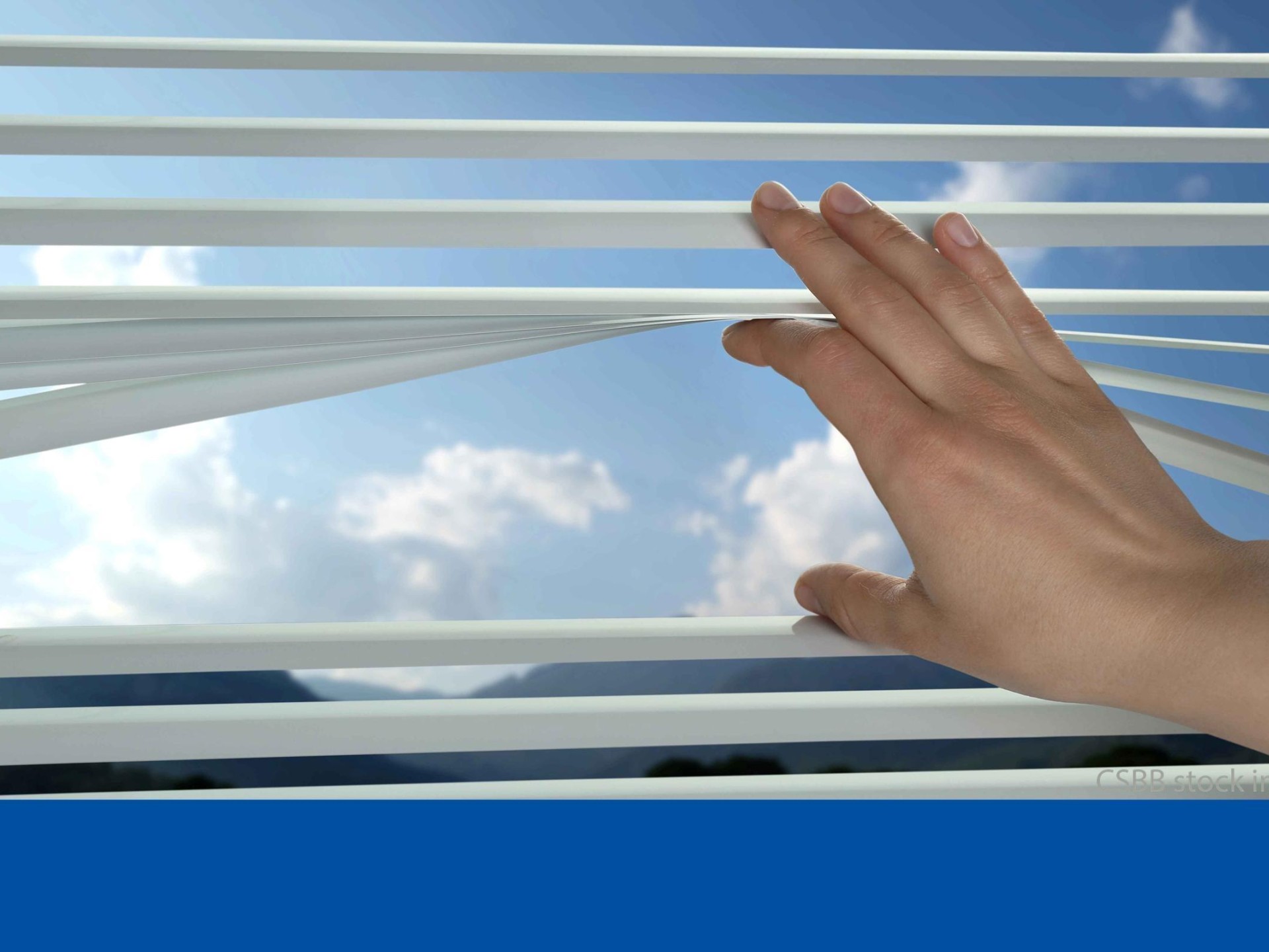 For Sale: Established Blinds 651613 1