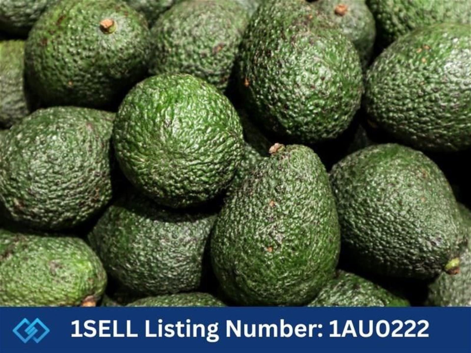 Long-established Central-coast Fruit & 651748 3
