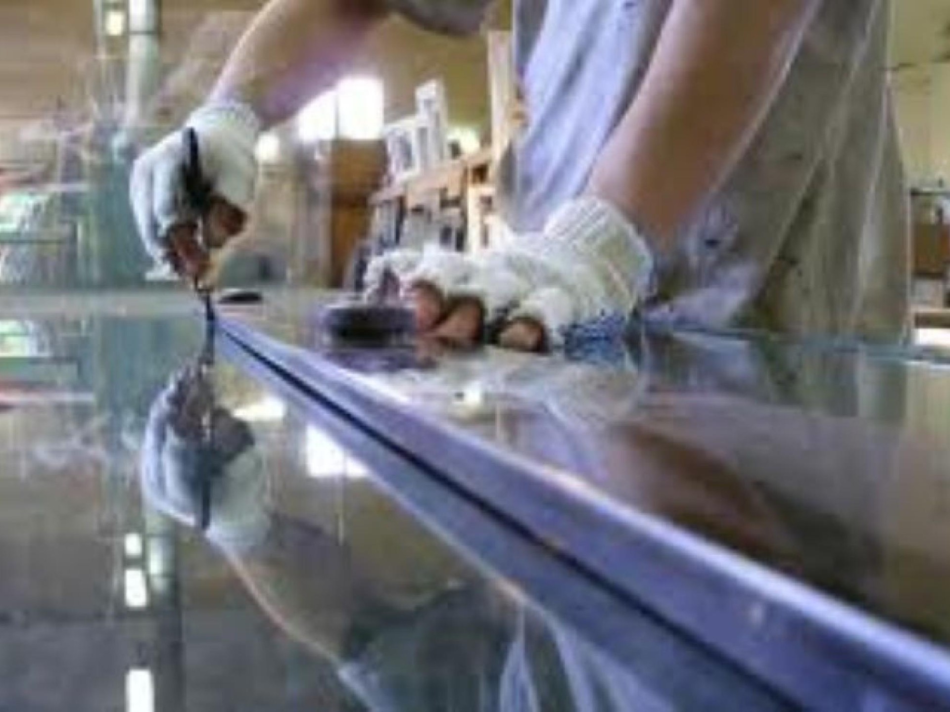 Glass Manufacturing Business For 651862 1