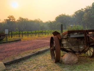 Huge Upside, Accommodation and Boutique Brewery - 2839MF