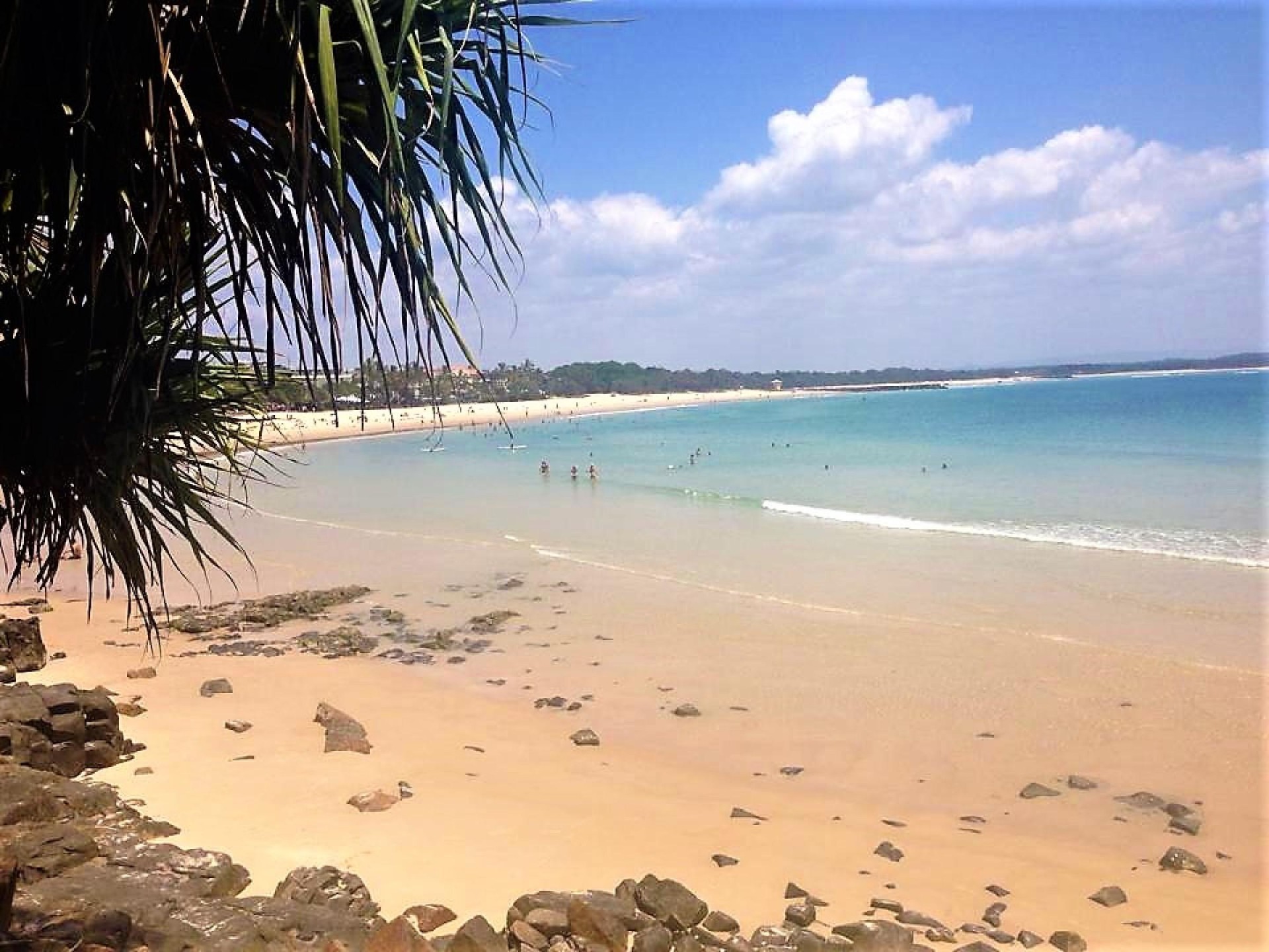 Carpet Cleaning & Pest 652054 3