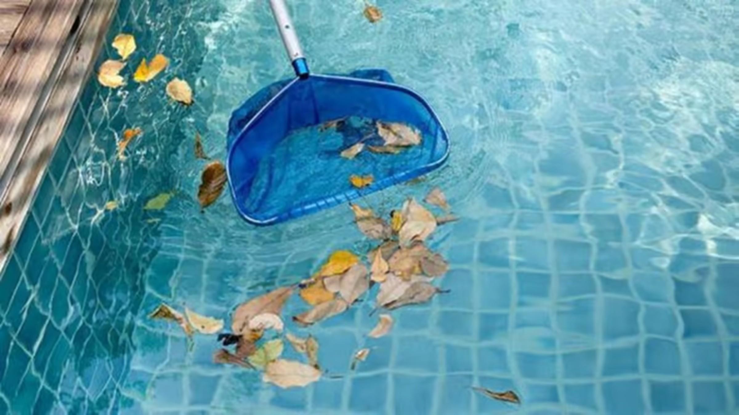 Pool Servicing And Repairs 652319 3