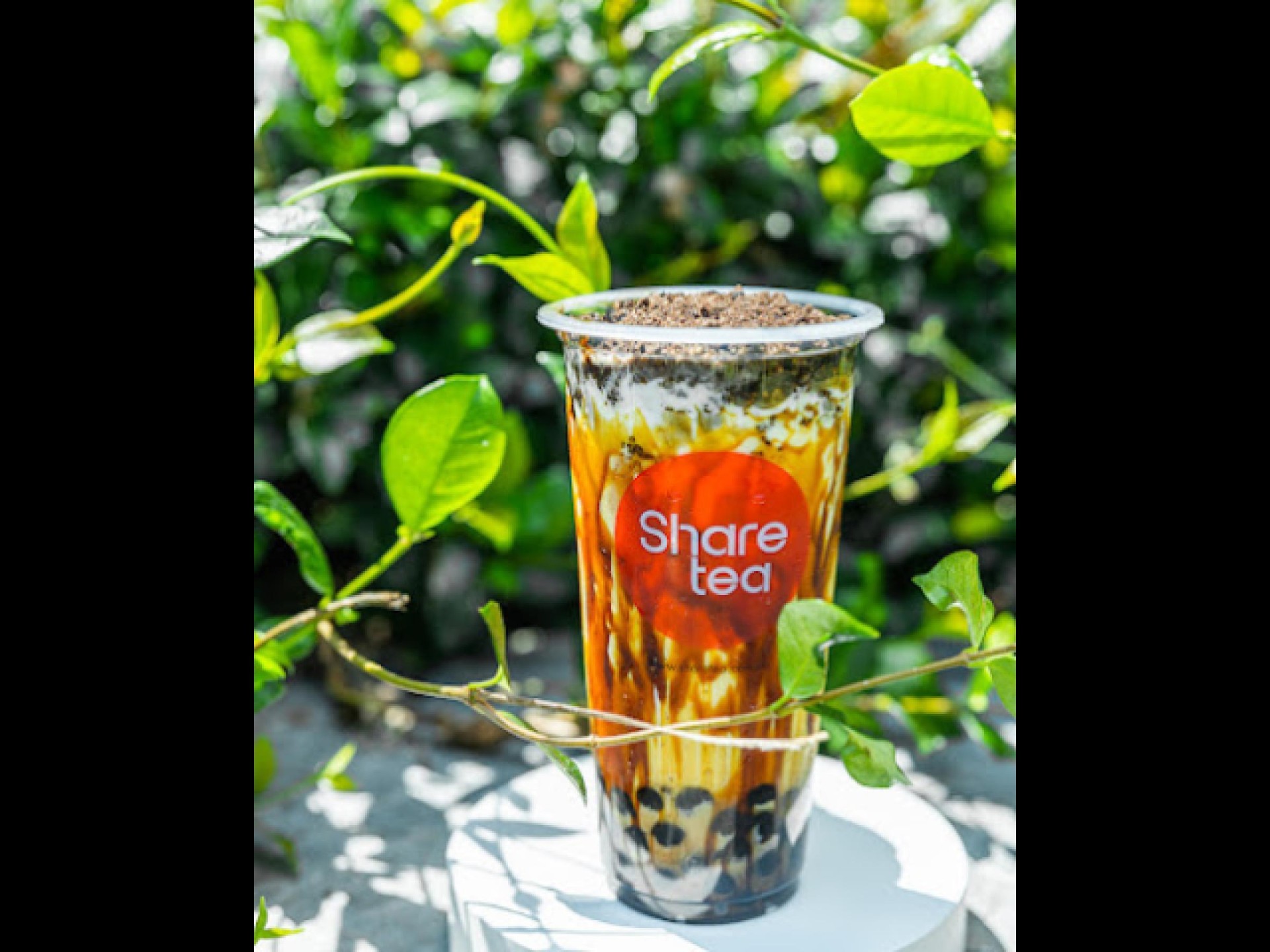 Established Sharetea Franchise Prime 652624 1