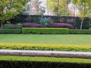 Garden Maintenance Services - Commercial / Industrial / Government - UND...