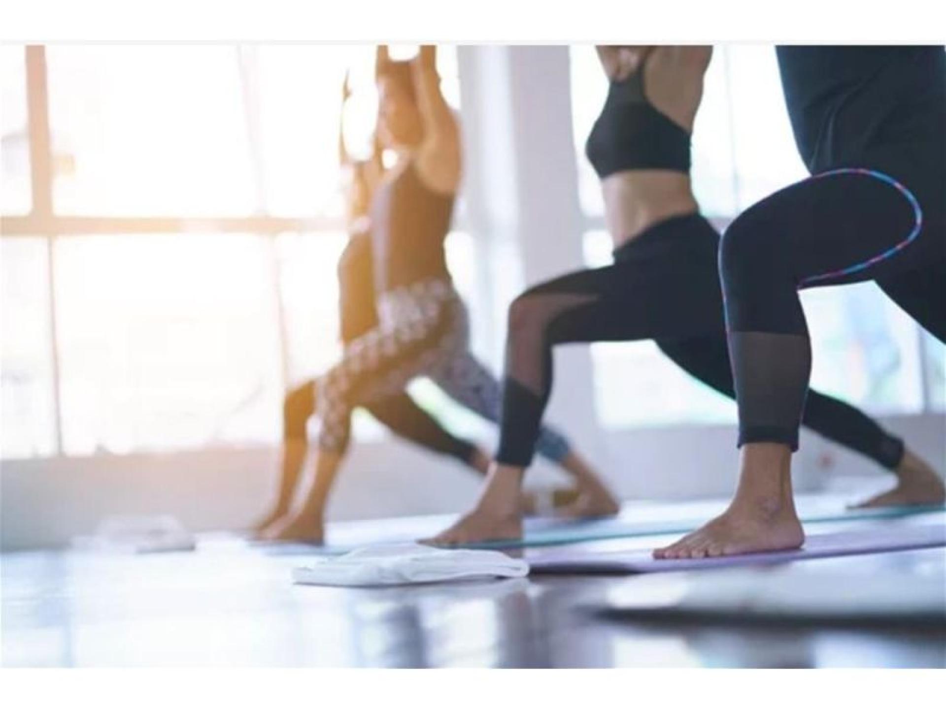 Fully Managed Boutique Gym 654400 3