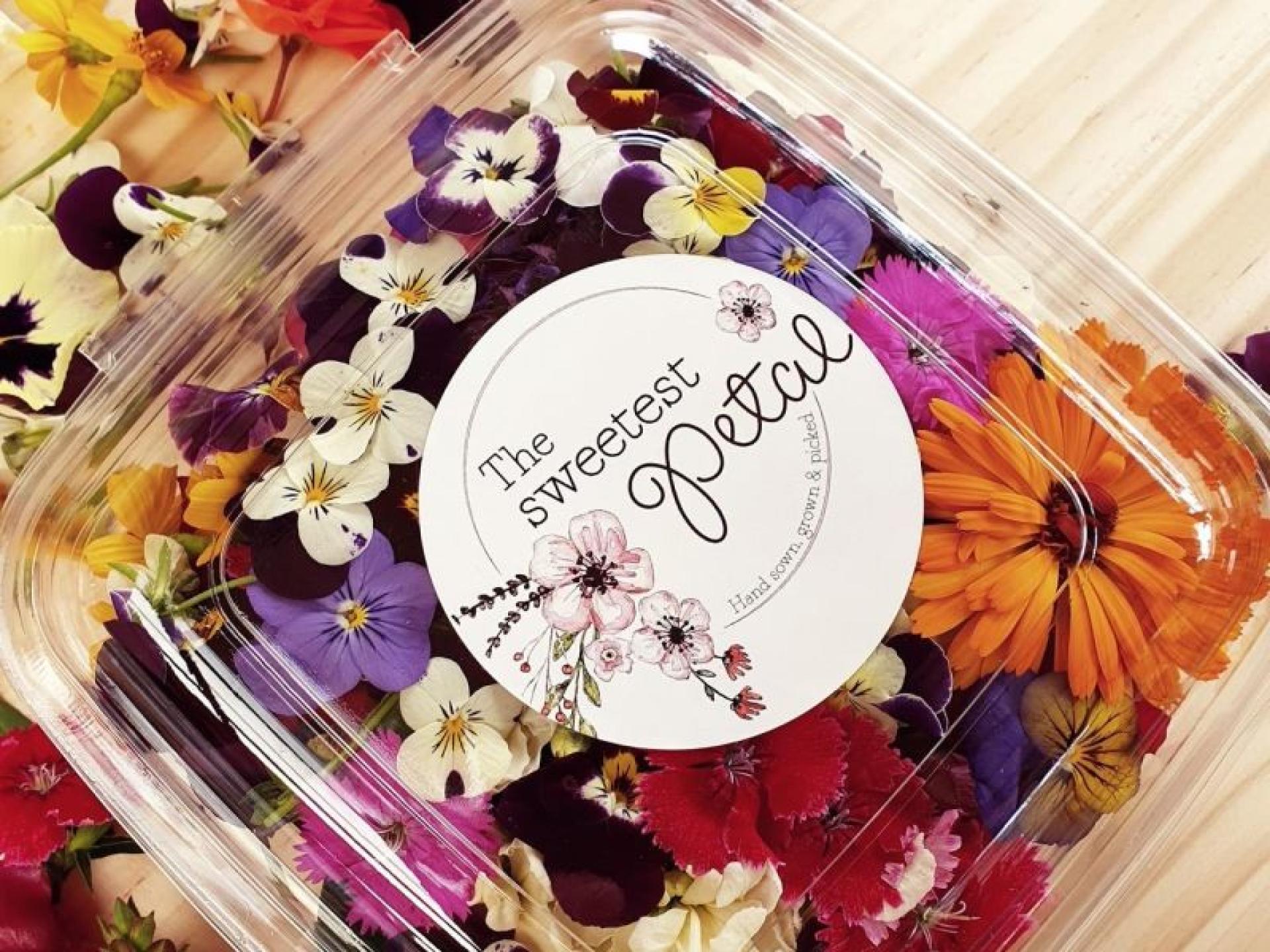 Edible Flowers Supplier – 654526 1