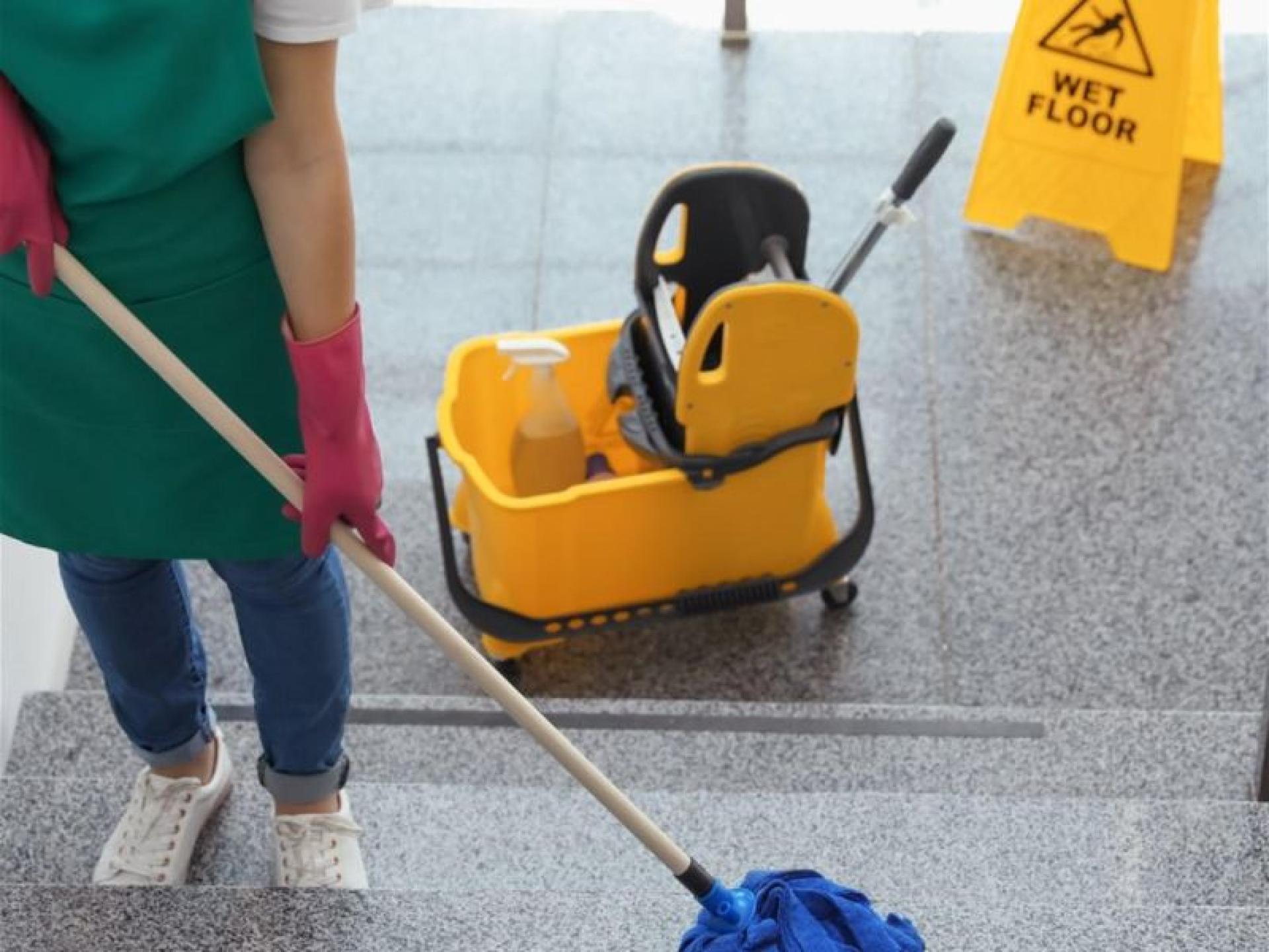 Nessy Cleaning Management Services 654881 2