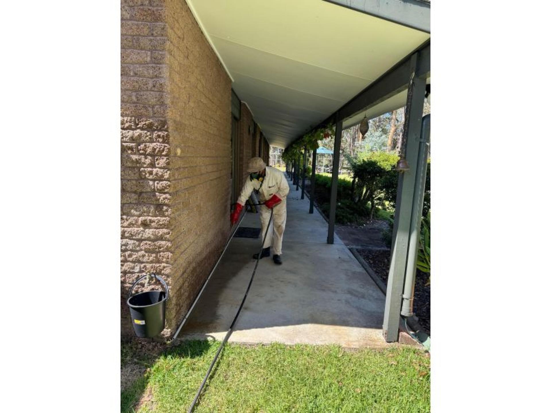 Pest Control - Termite 655022 2