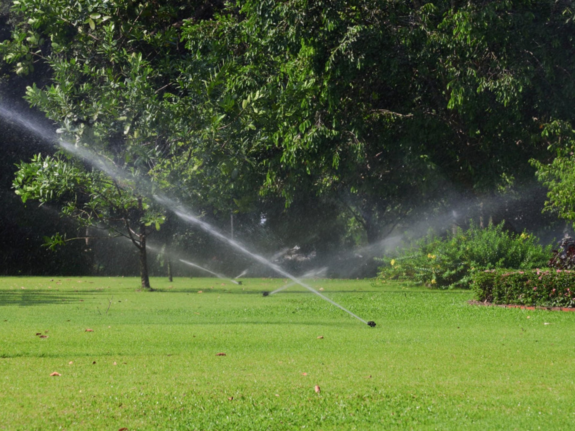 Established Irrigation Supplier & 655846 1