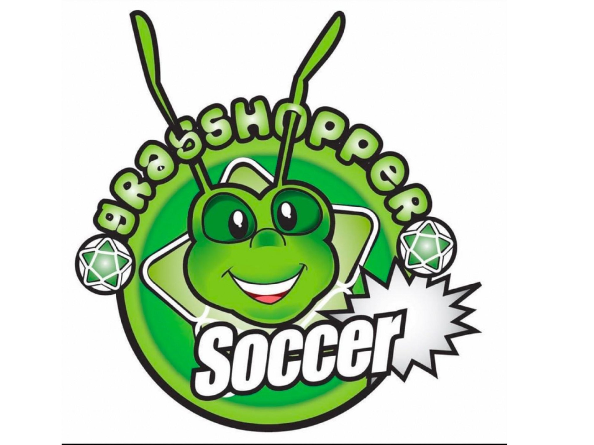 Great Soccer Franchise Opportunity!! 656207 1