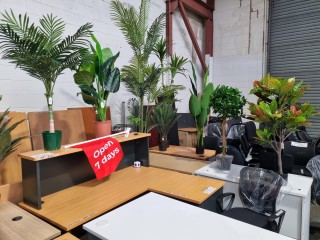Office Furniture - Artificial Plants - Artist Supplies