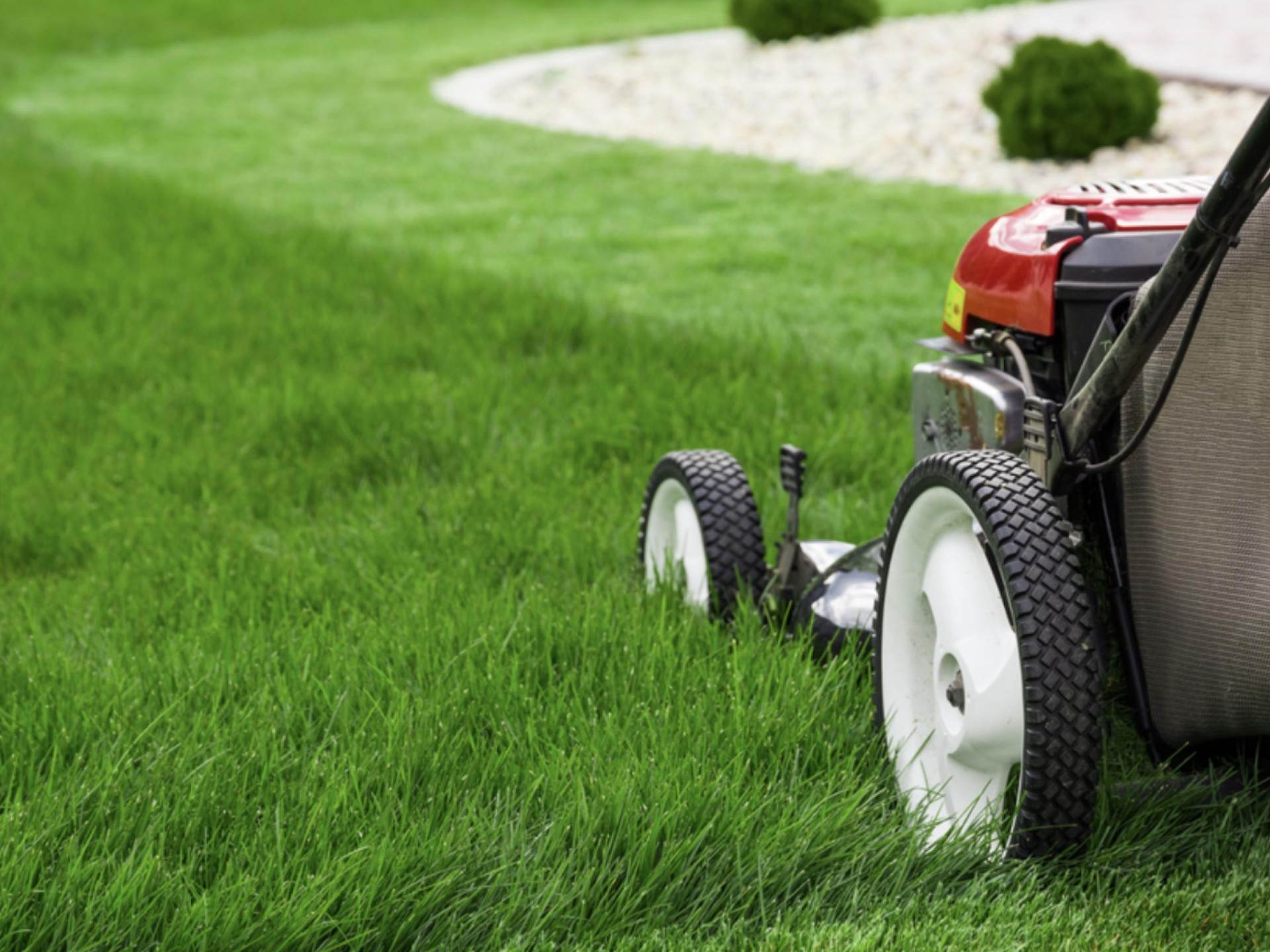 Lawn Mowing Business Bayside 656428 1