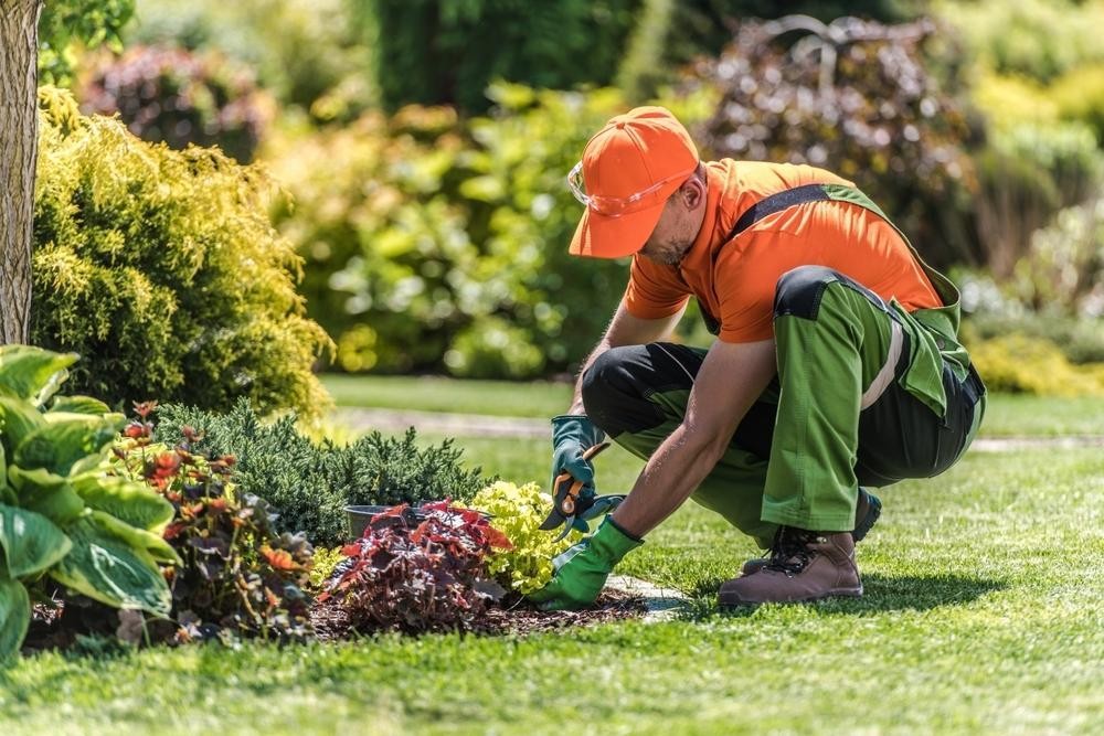 Commercial Mowing & Garden 656616 1