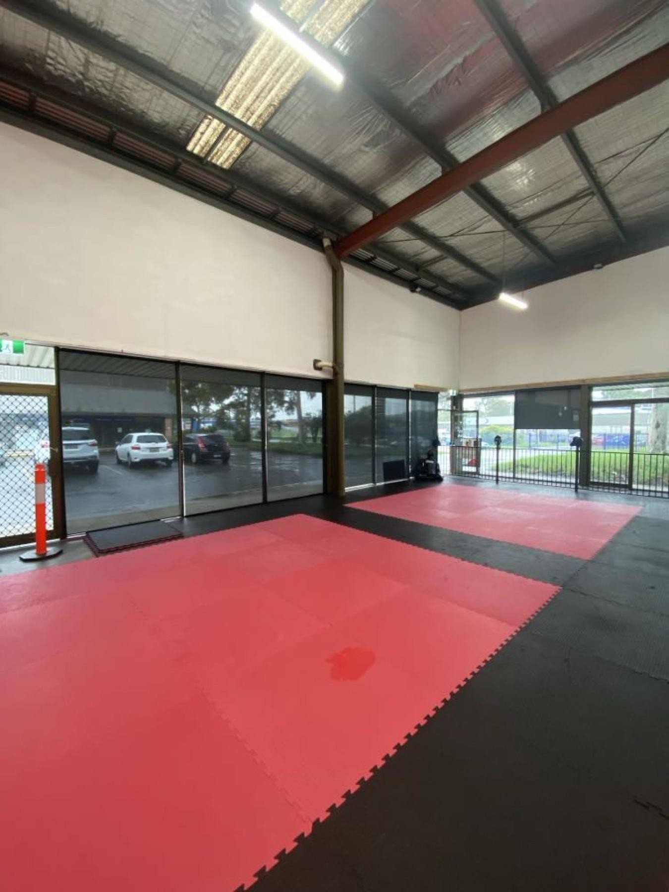 Thriving Martial Arts School 656630 3