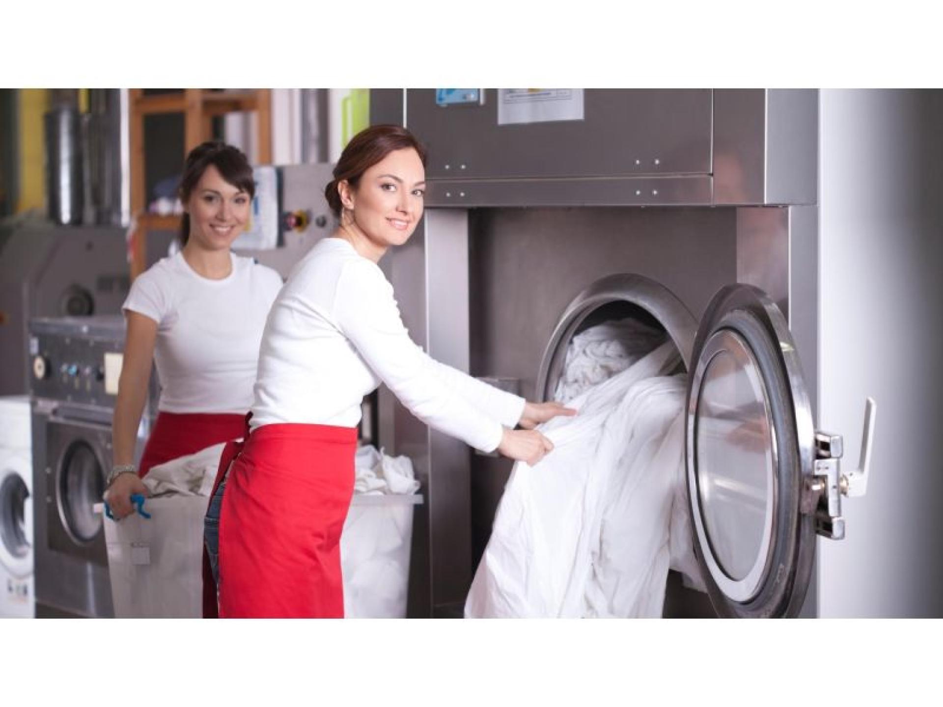 Commercial Laundry Service Business 656983 1