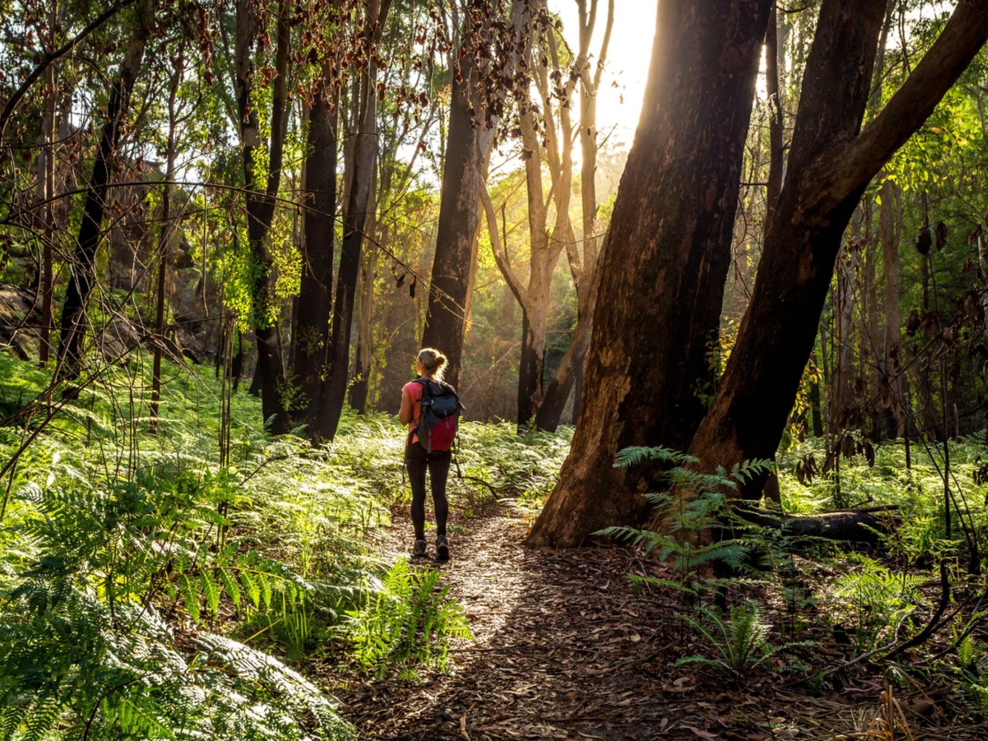Nature-based Tourism Business Adelaide 657051 1