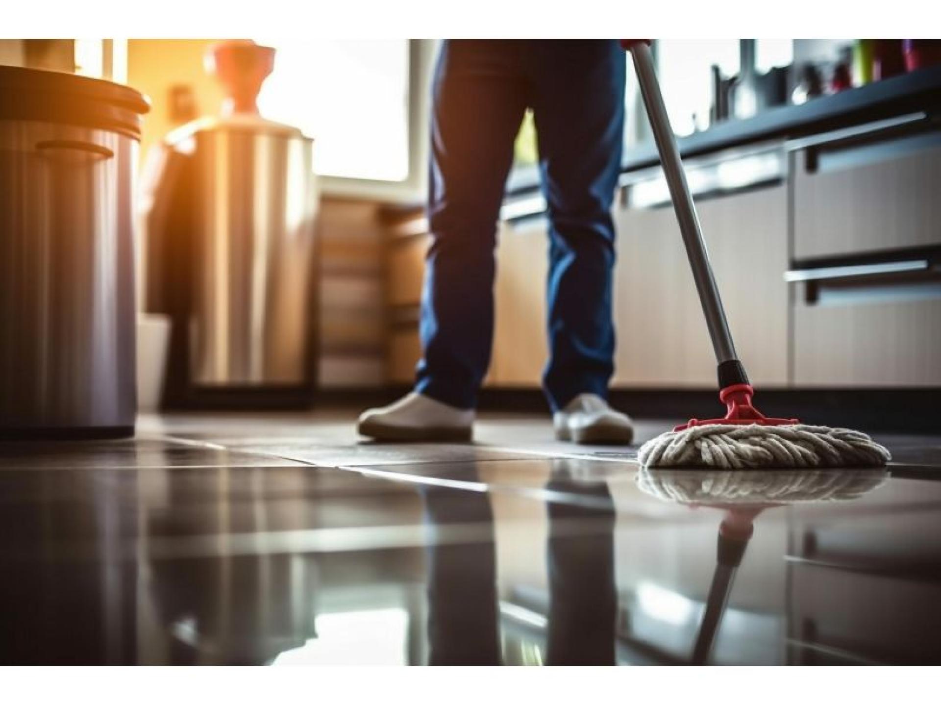 Caretaking And Cleaning Business 657503 2