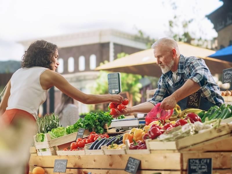 Thriving Fruit & Vegetable 657941 3