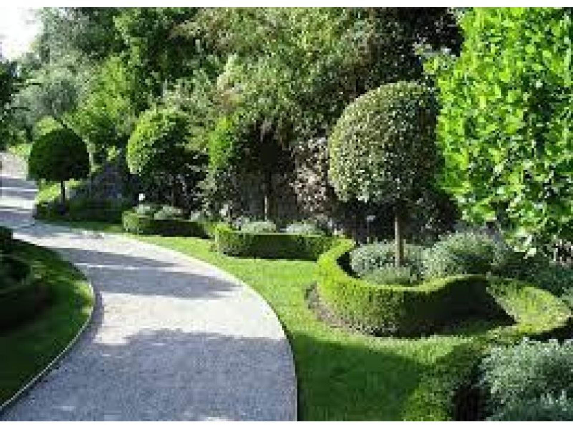 Well Established Landscaping Business 658243 2