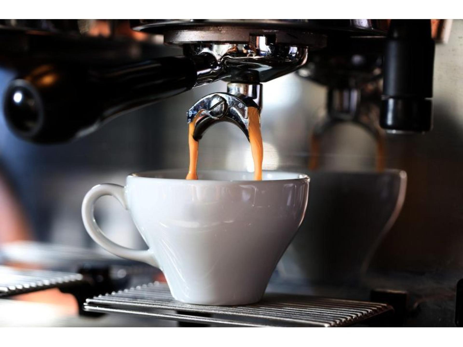 5 Day Trade Cafe 658356 3