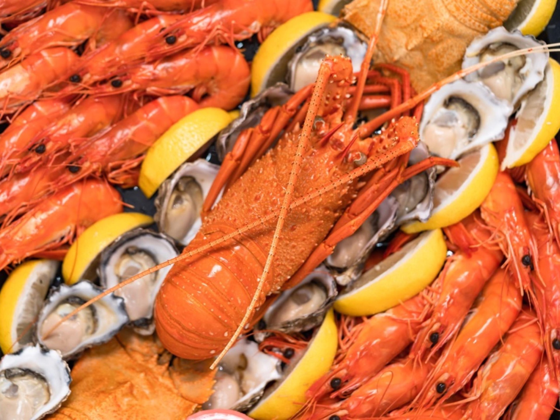 Large Licensed Seafood Shop 658727 1