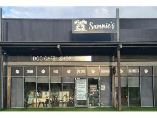 Dog Cafe and Spa - Moonee Beach, NSW