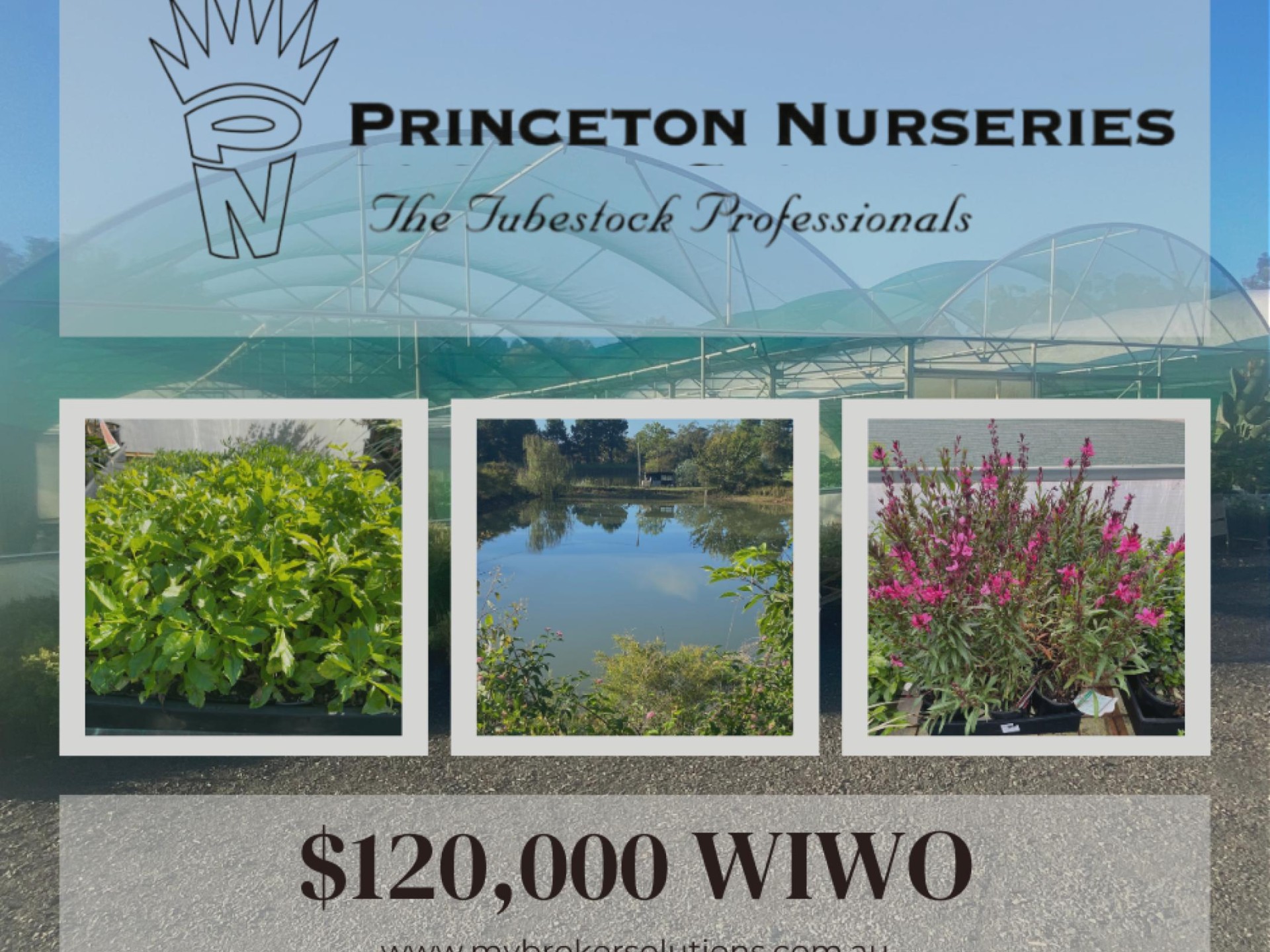 Plant The Seed For 659418 1