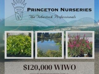 Plant the seed for your future